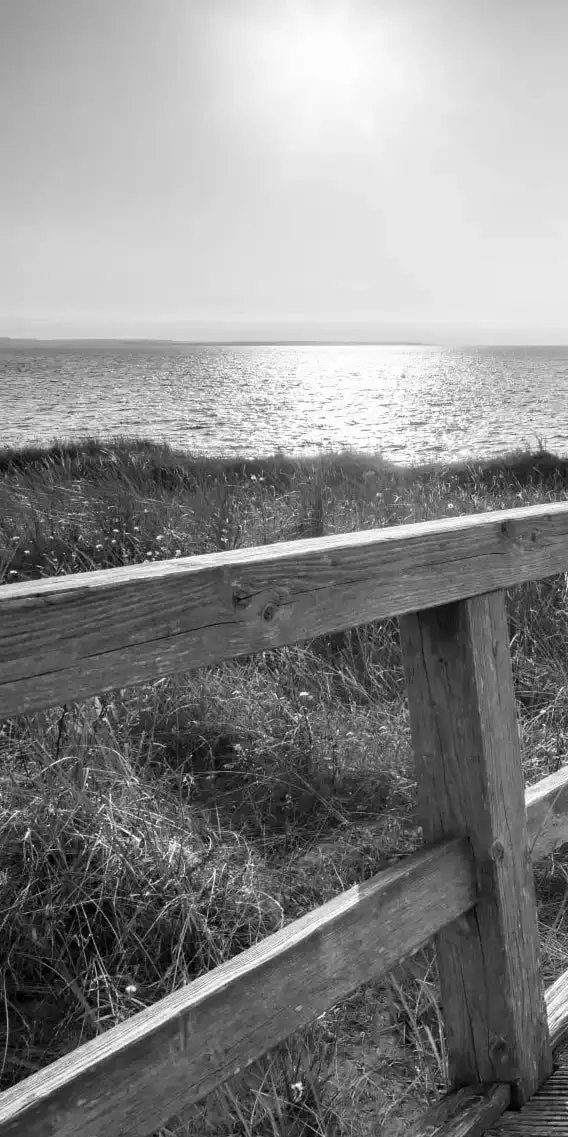 A Boardwalk To The Beach BW Wall Art