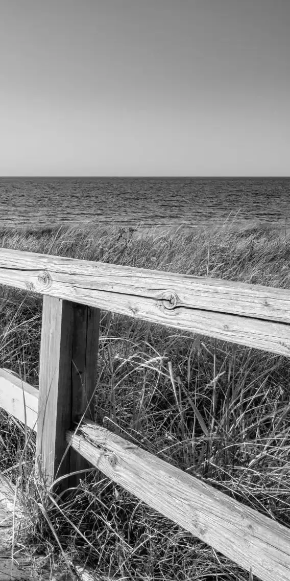 A Boardwalk To The Beach BW Wall Art