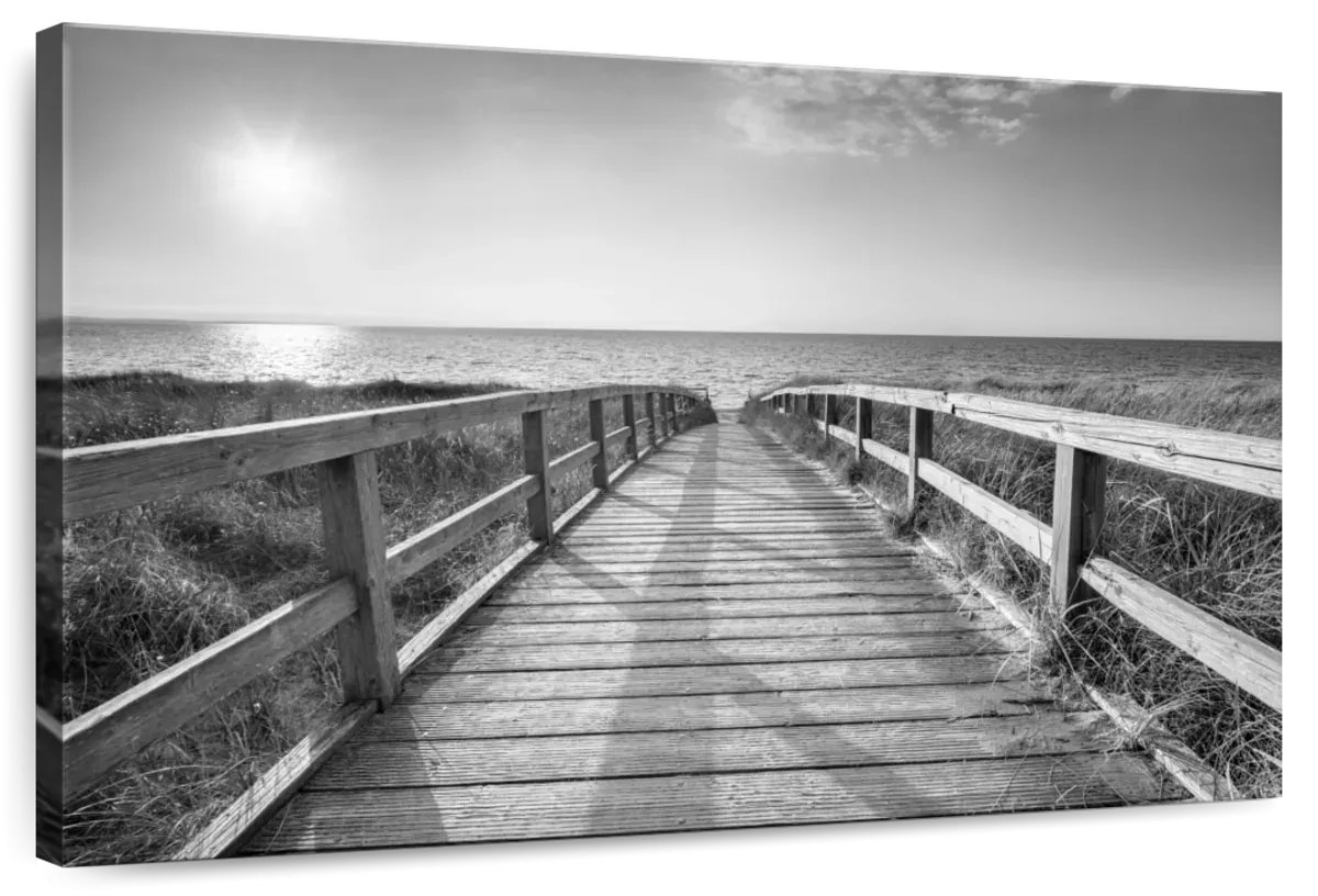 A Boardwalk To The Beach BW Wall Art