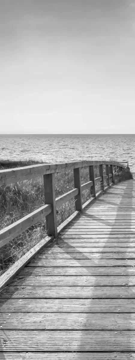 A Boardwalk To The Beach BW Wall Art