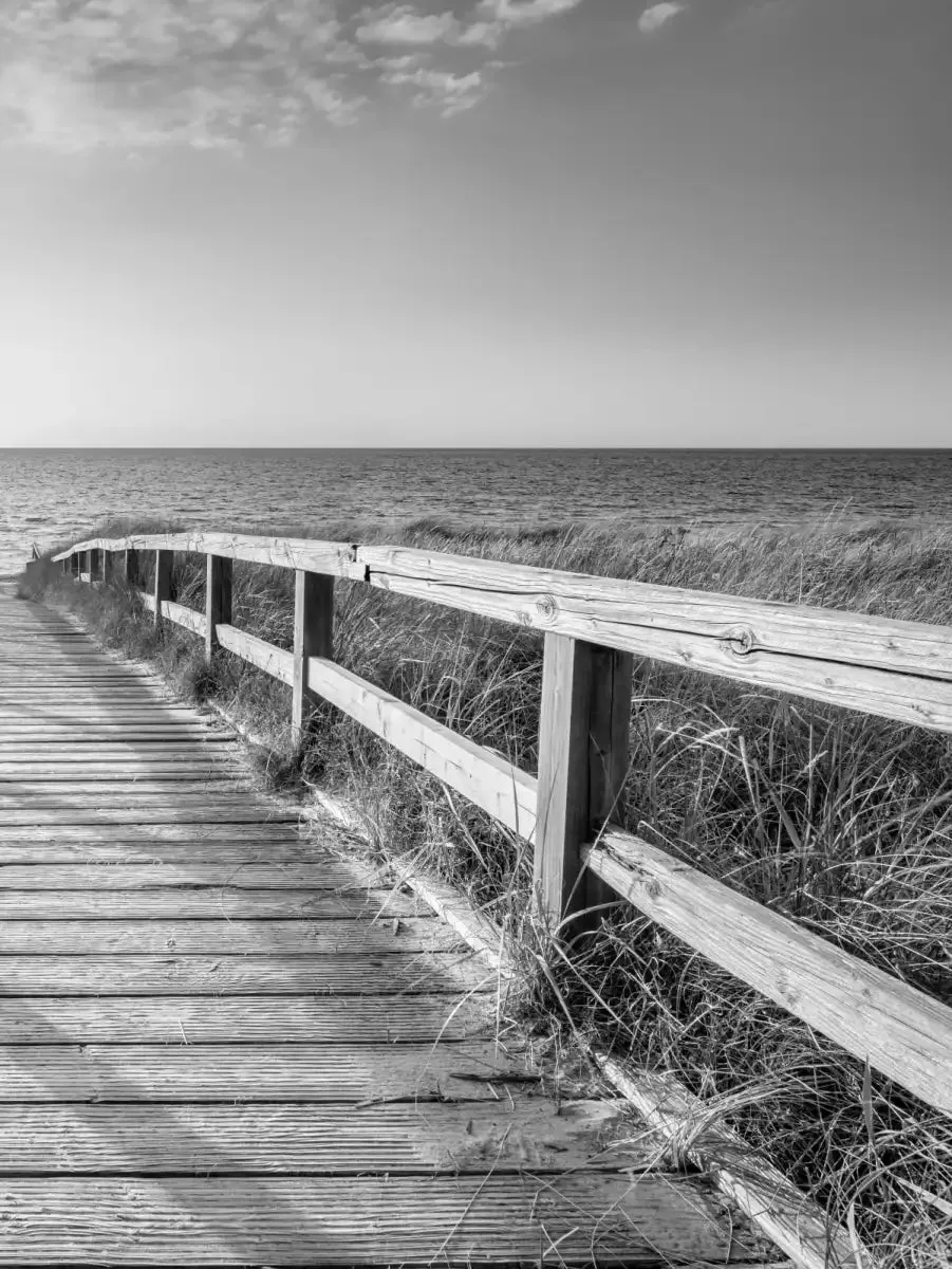 A Boardwalk To The Beach BW Wall Art