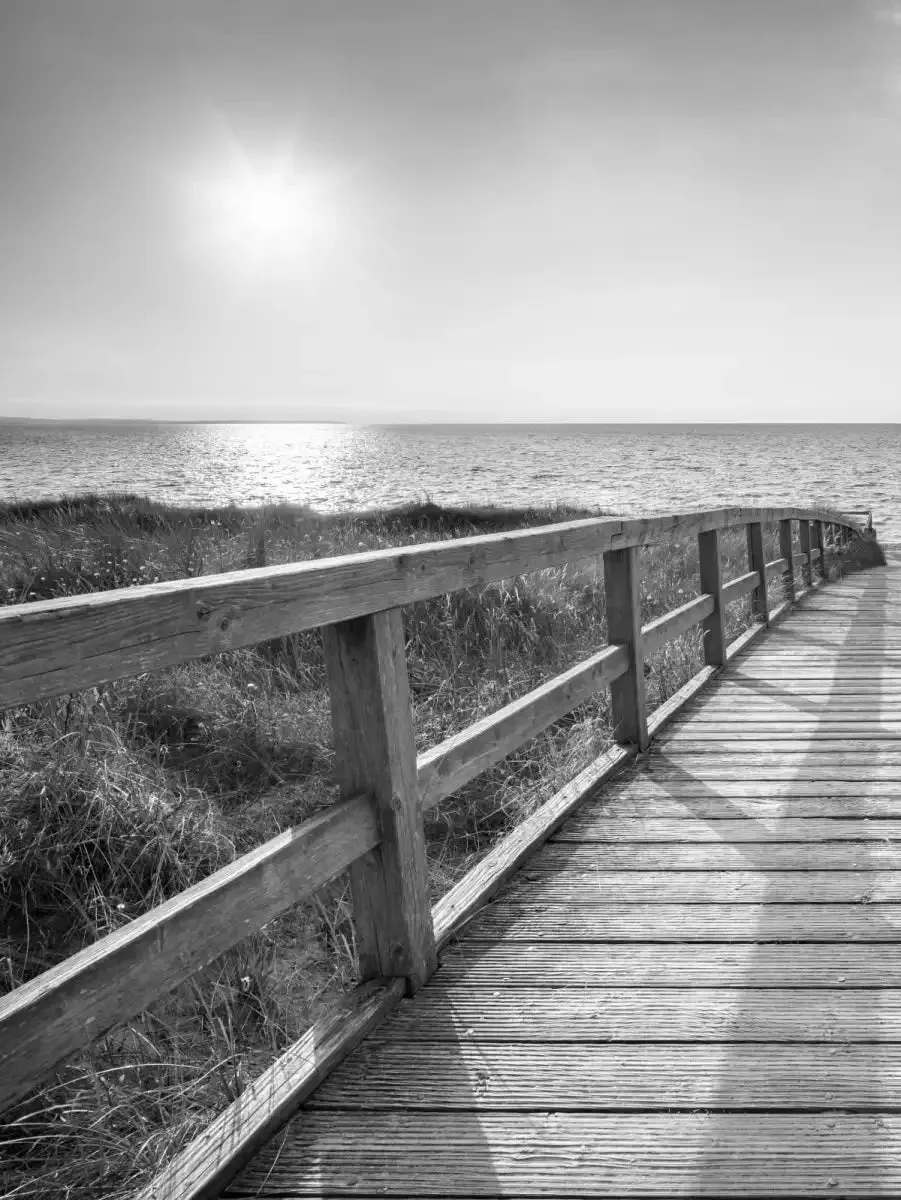 A Boardwalk To The Beach BW Wall Art