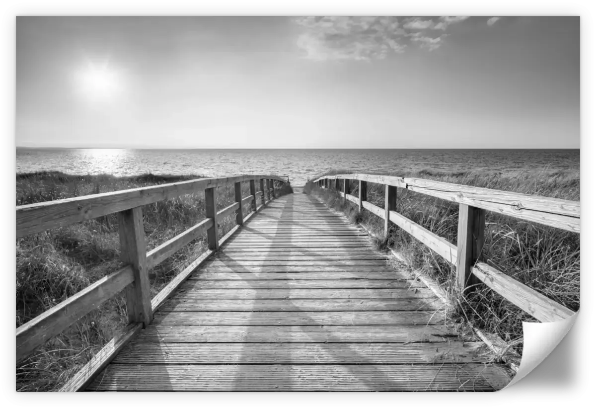 A Boardwalk To The Beach BW Wall Art