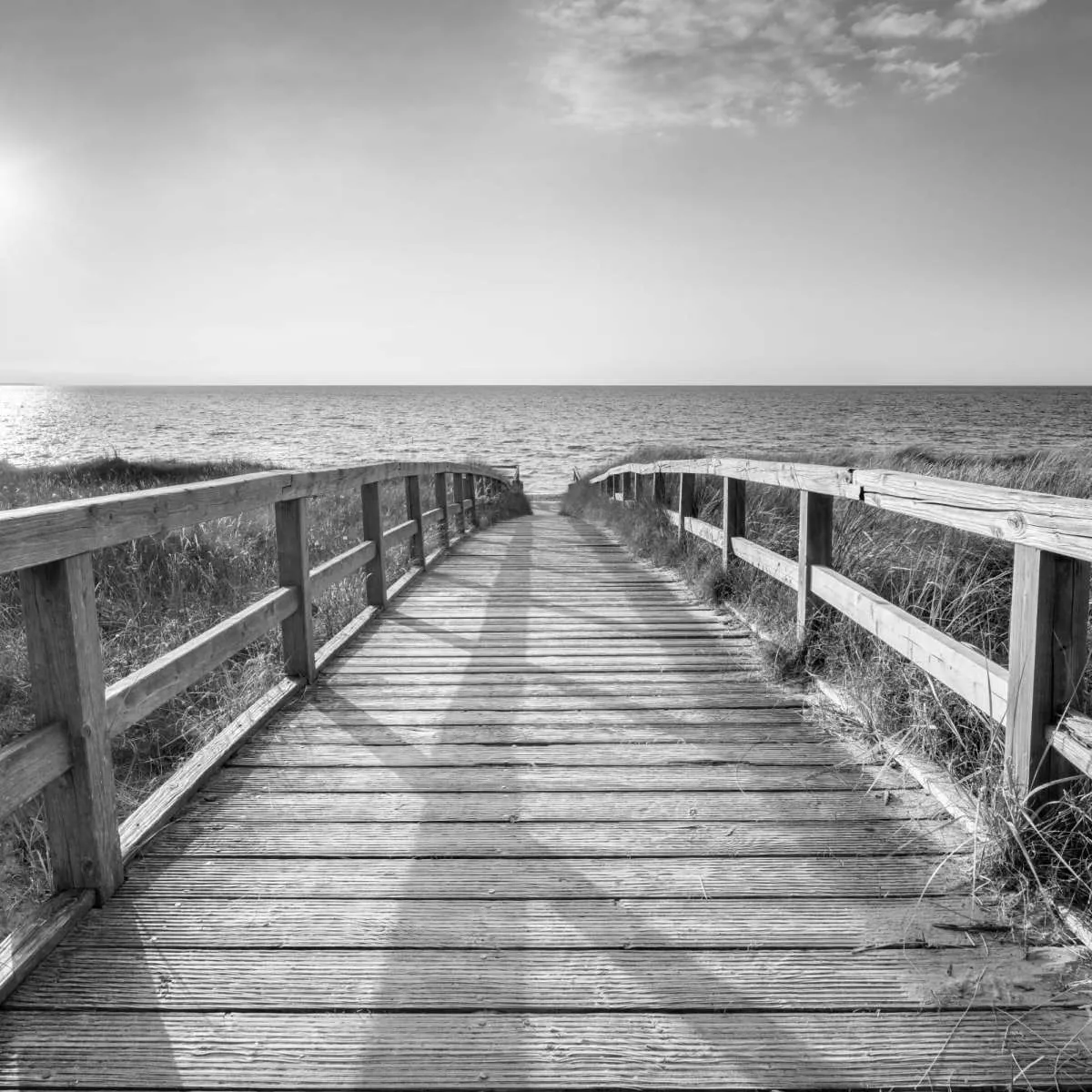 A Boardwalk To The Beach BW Wall Art