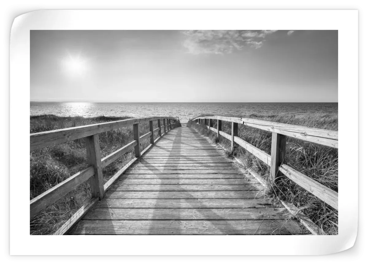 A Boardwalk To The Beach BW Wall Art