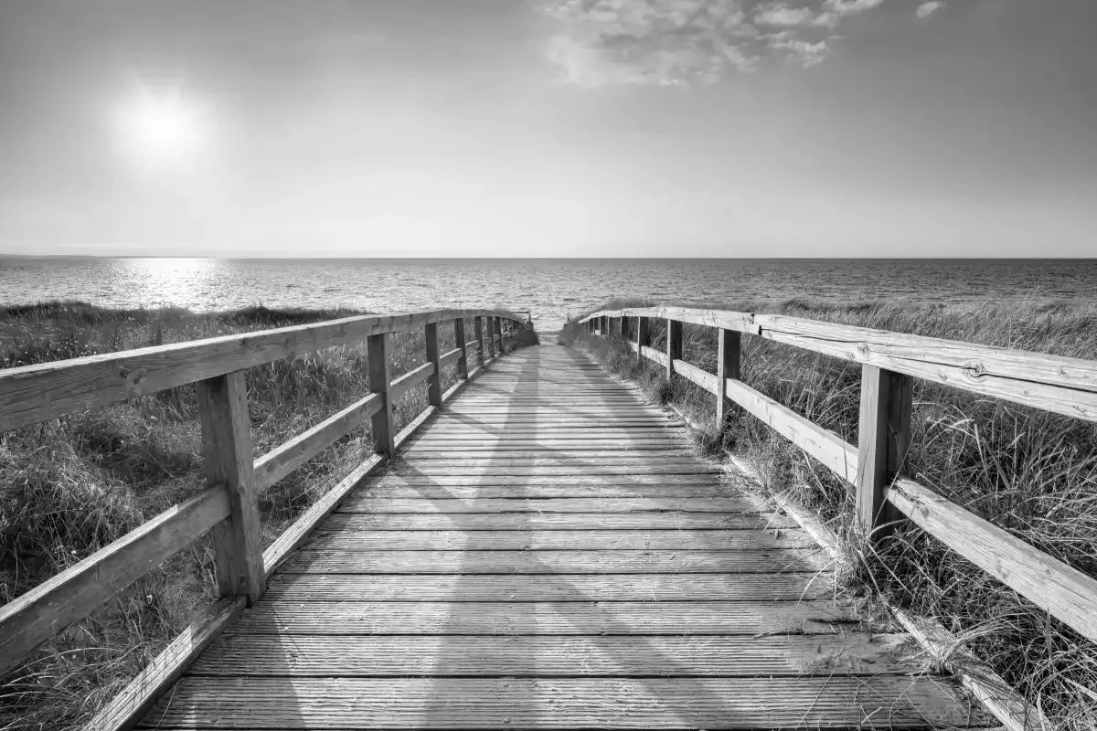 A Boardwalk To The Beach BW Wall Art