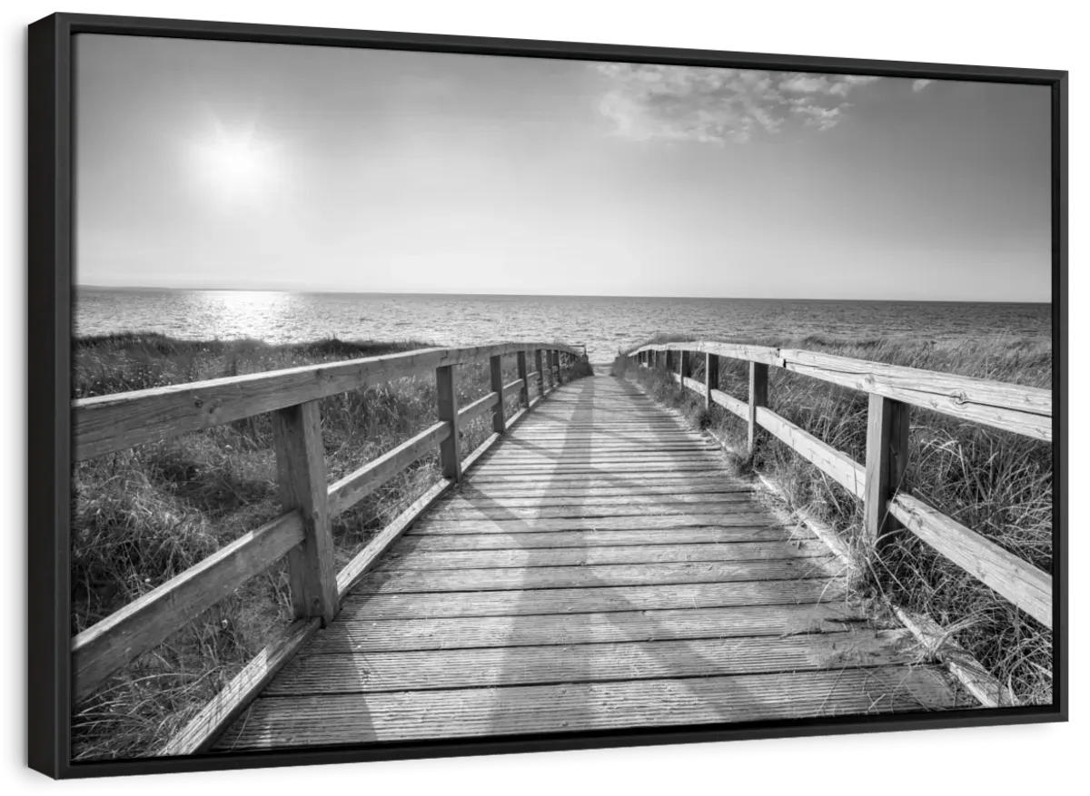 A Boardwalk To The Beach BW Wall Art