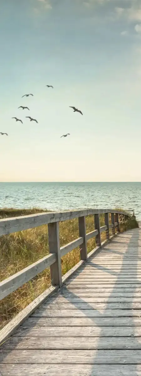 A Boardwalk To The Beach Wall Art