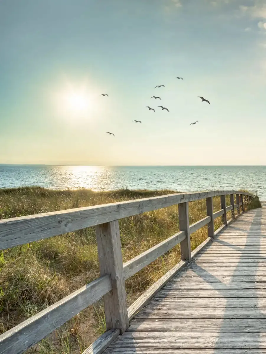 A Boardwalk To The Beach Wall Art