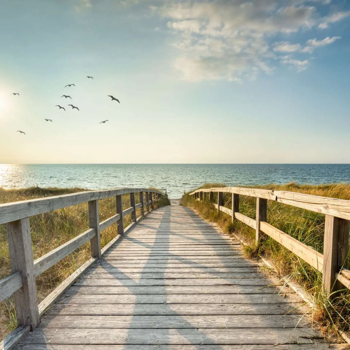 A Boardwalk To The Beach Wall Art