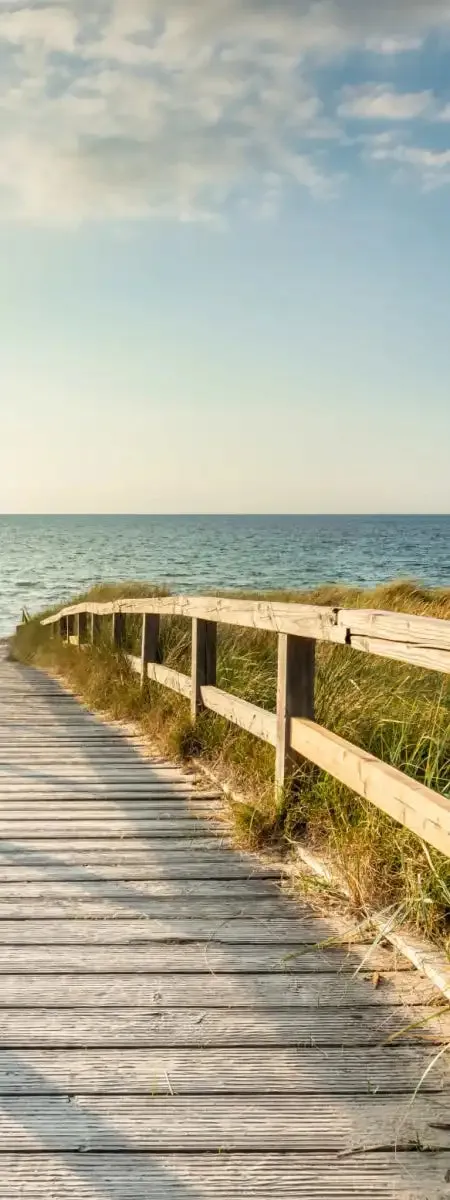 A Boardwalk To The Beach Wall Art