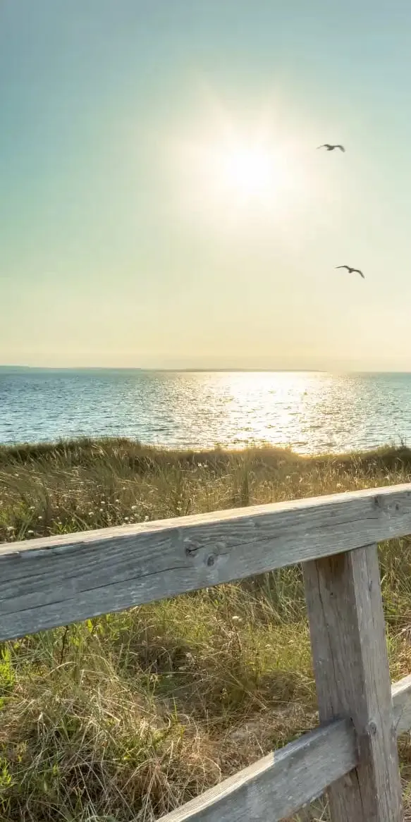 A Boardwalk To The Beach Wall Art