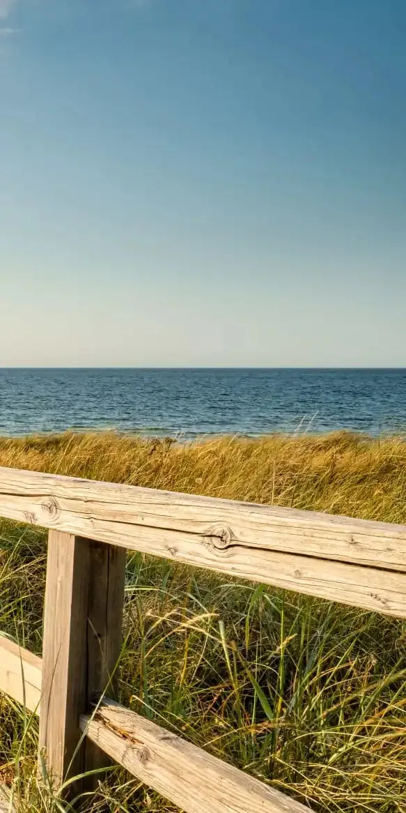 A Boardwalk To The Beach Wall Art