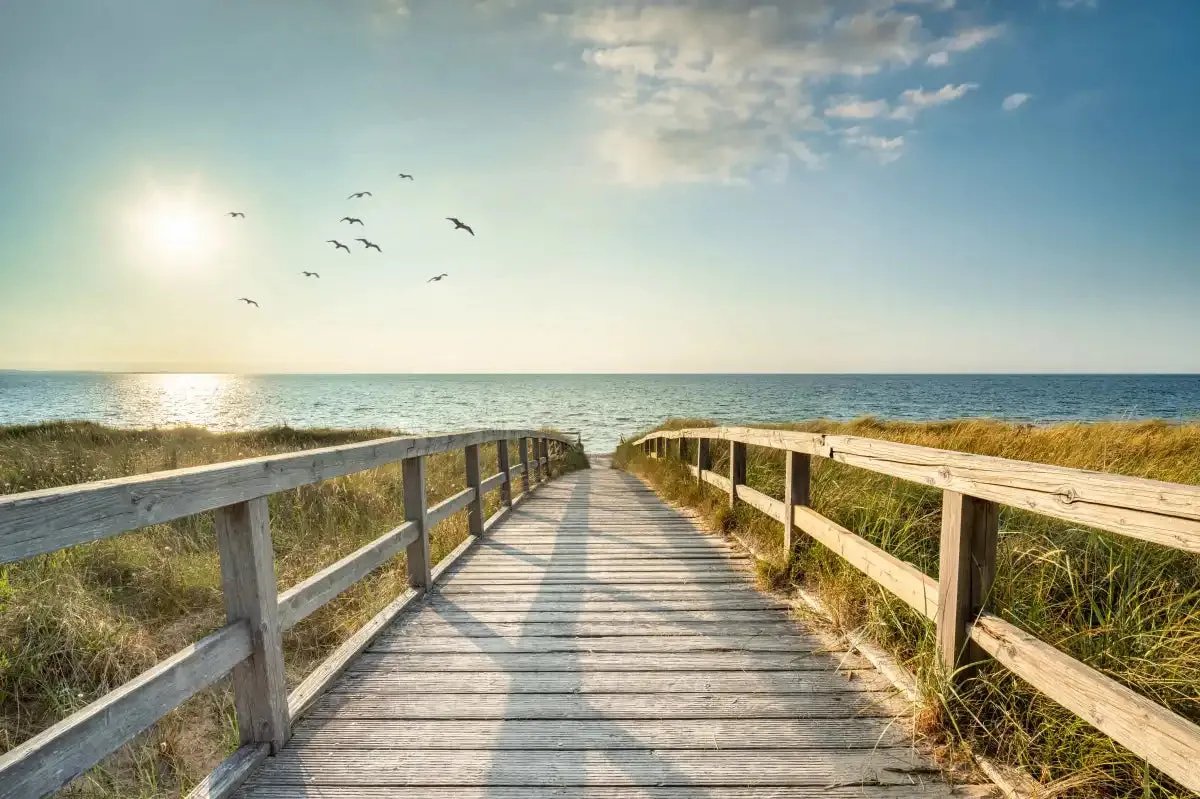 A Boardwalk To The Beach Wall Art