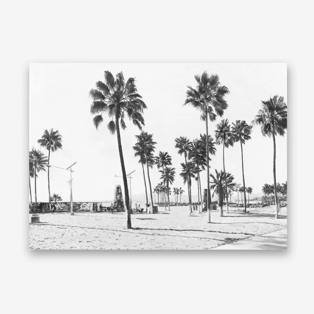 California Foreshore B&W Canvas Print