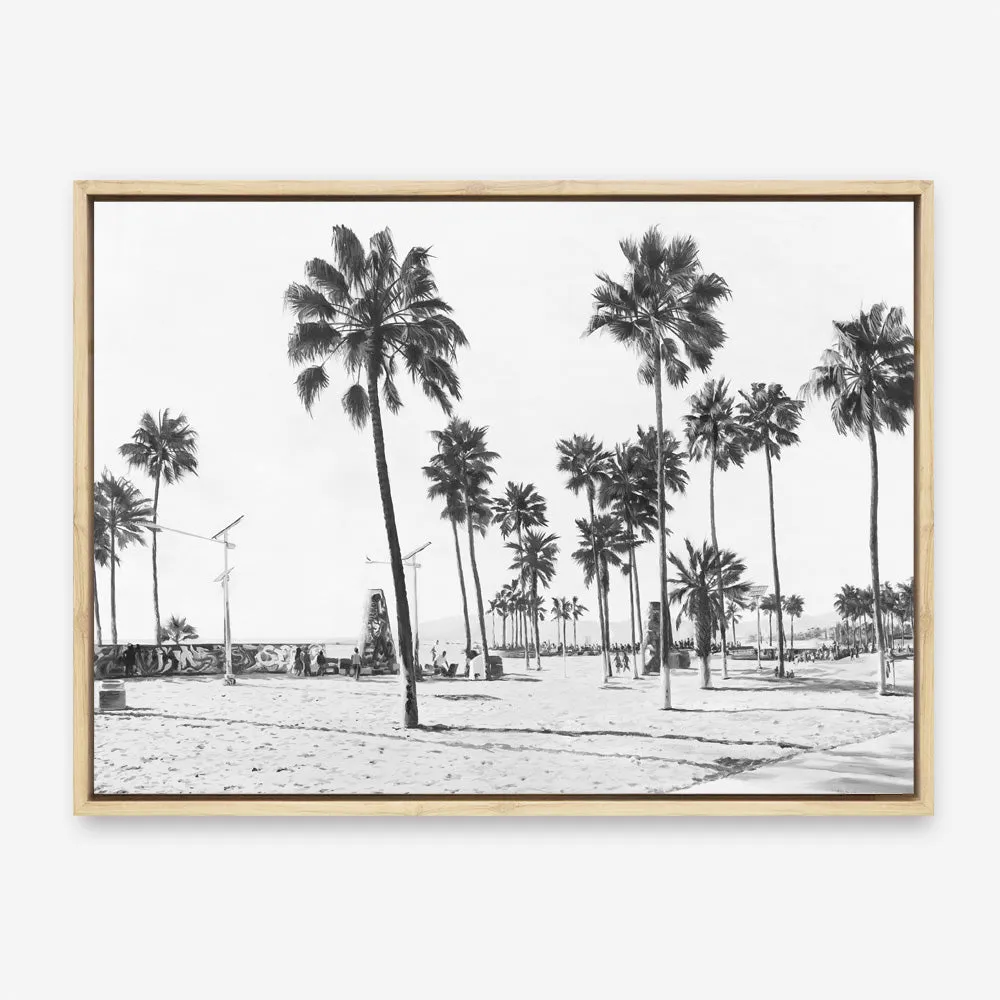 California Foreshore B&W Canvas Print