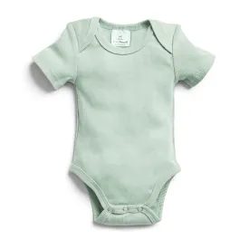 ergoPouch Short Sleeve Bodysuit - Sage