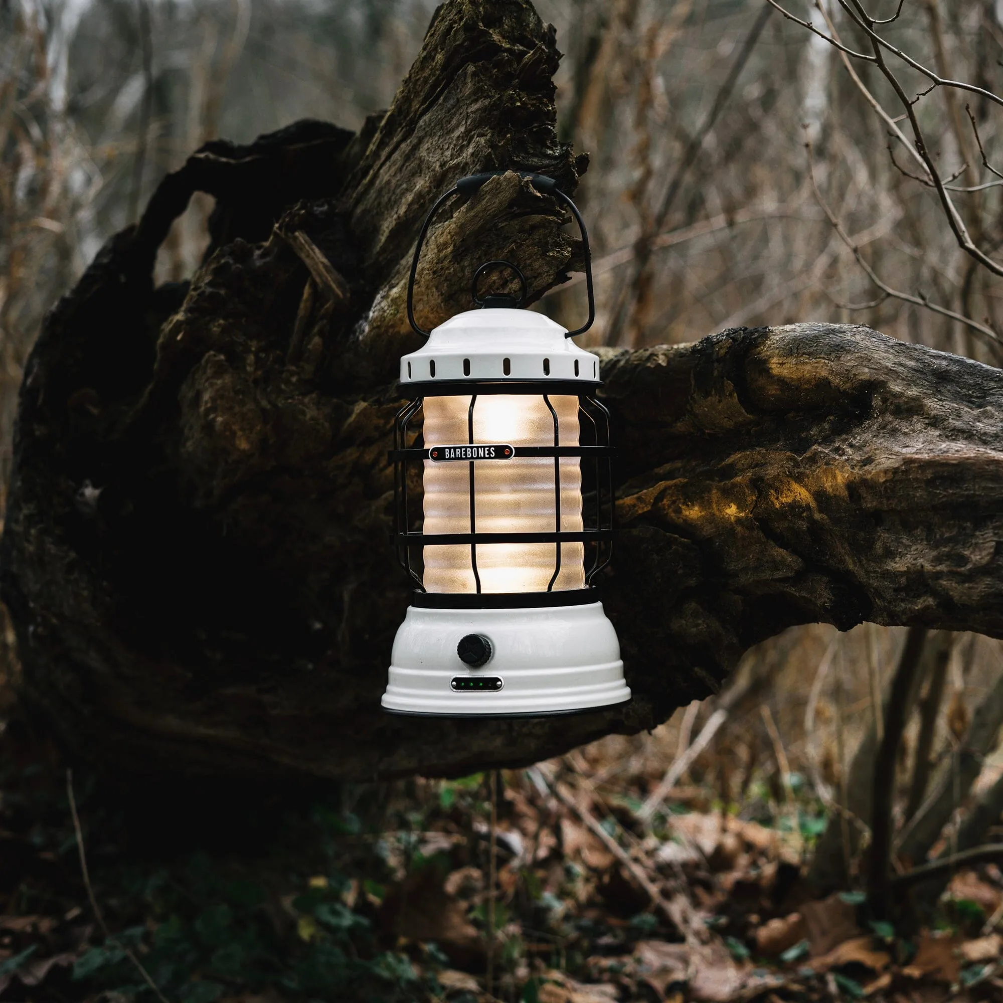 Forest Lantern Kit