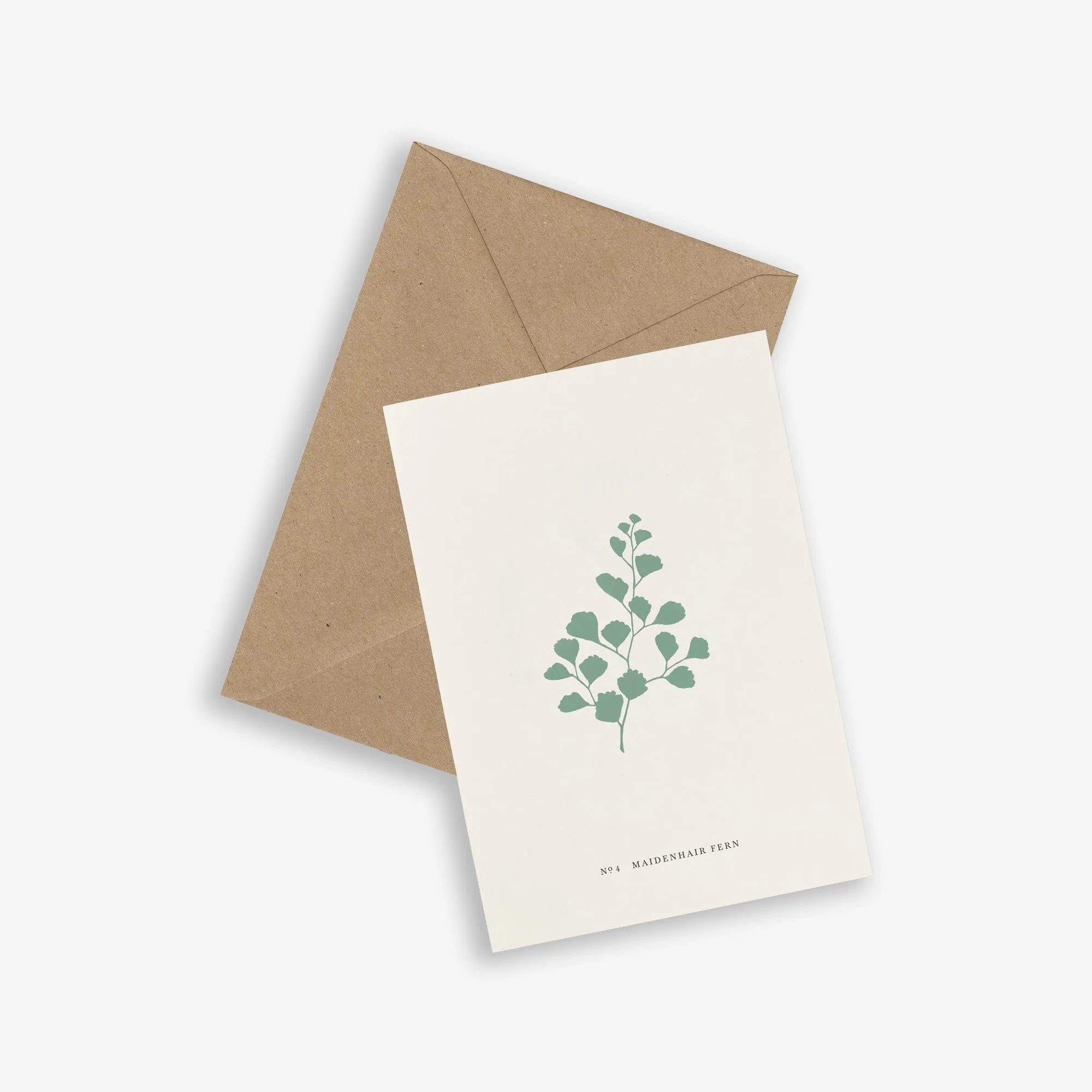 GREETING CARD // FERN