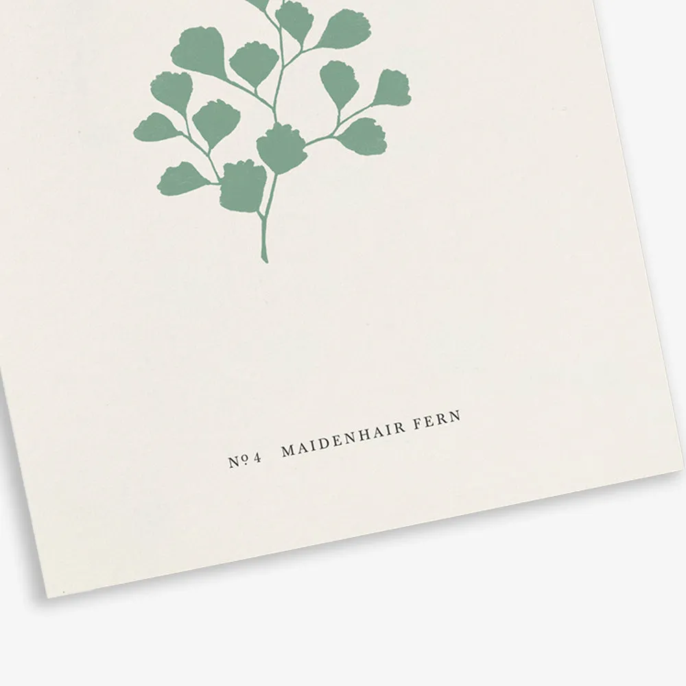 GREETING CARD // FERN