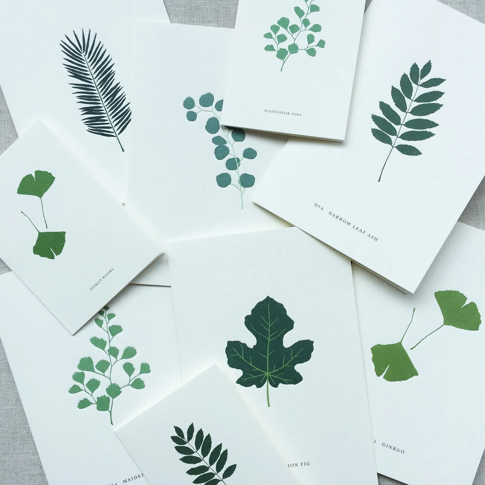 GREETING CARD // FERN