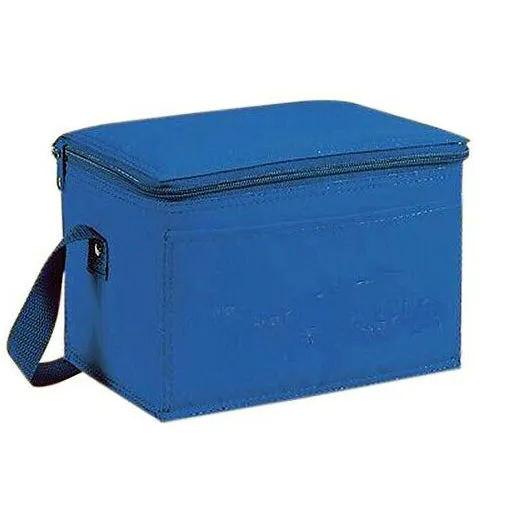 Insulated 6-Pack Nylon Cooler Picnic Lunch Bag Box FoodWater Cooler 9" x 6"x 5"