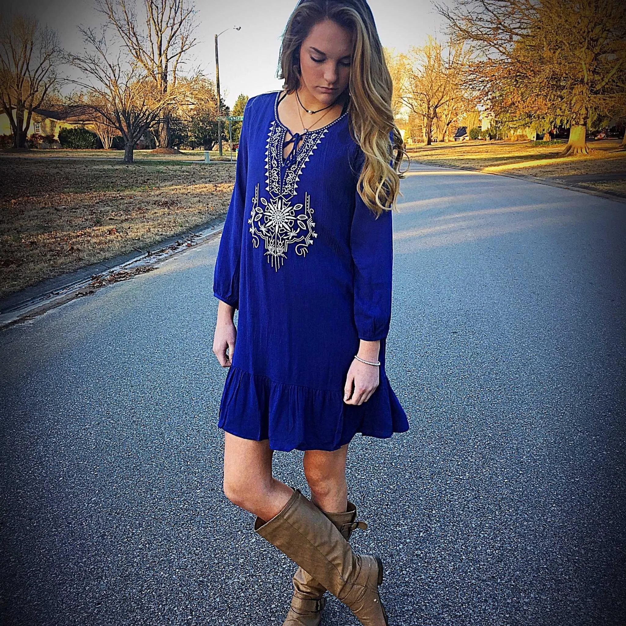 Katie Blue Embroidered Dress