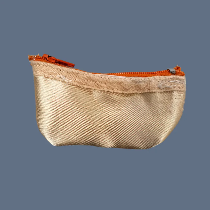 Planet Pointe Pouch