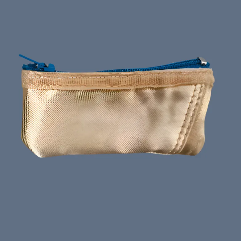 Planet Pointe Pouch