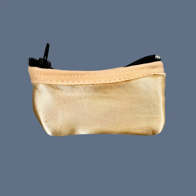 Planet Pointe Pouch