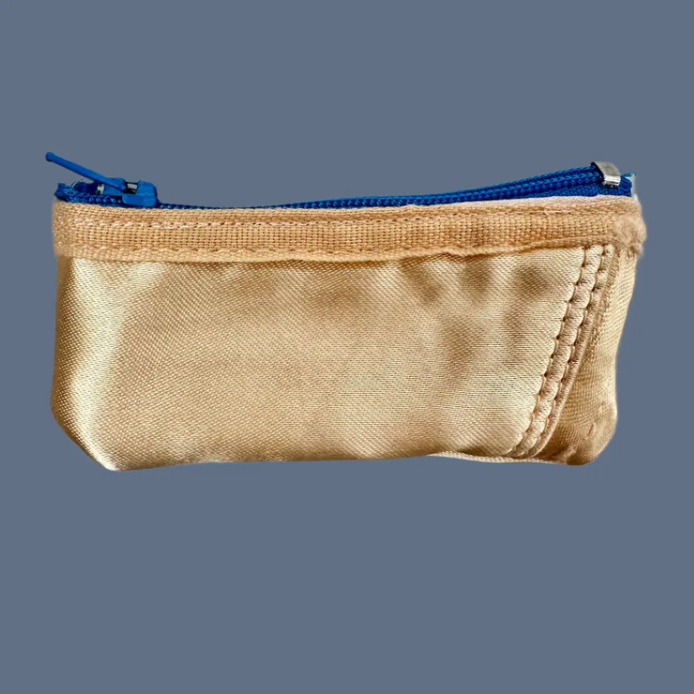 Planet Pointe Pouch