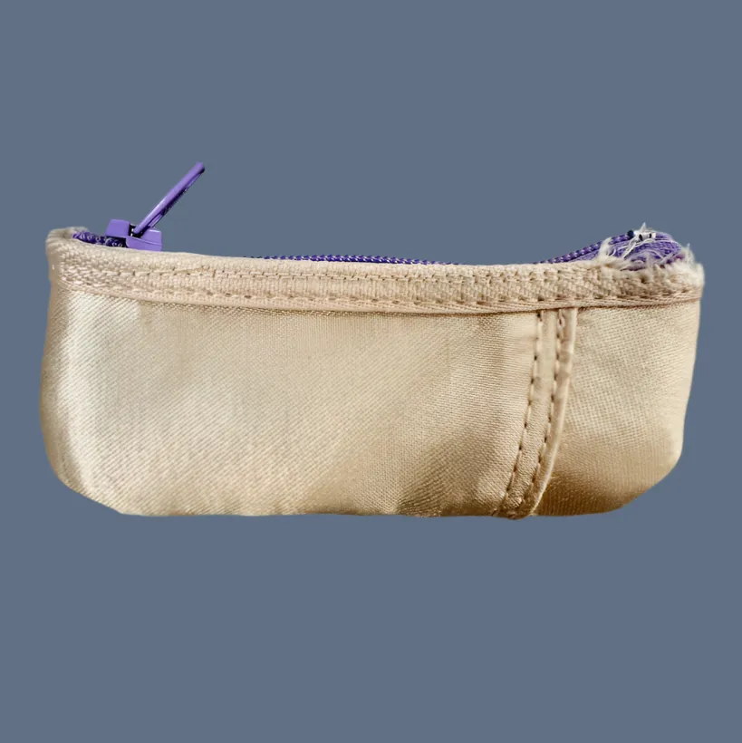 Planet Pointe Pouch