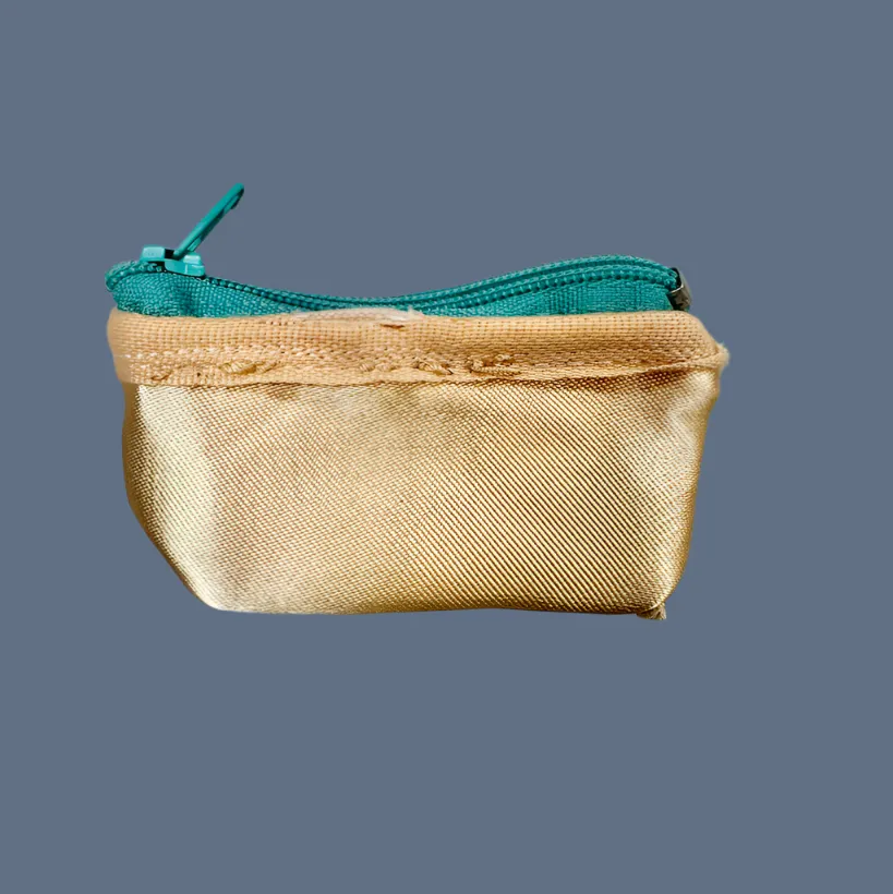 Planet Pointe Pouch