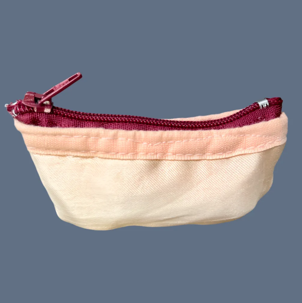 Planet Pointe Pouch